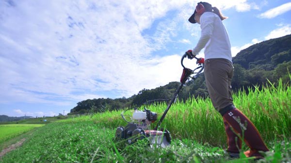 「自走草刈機　速刈り君」