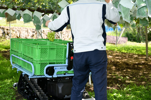 いつでも荷台に「手が届く」