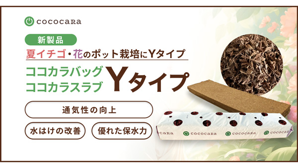 夏イチゴ・花のポット栽培に新たな選択肢「ココカラ」Yタイプ2種を新発売.jpg