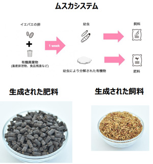 ムスカシステム