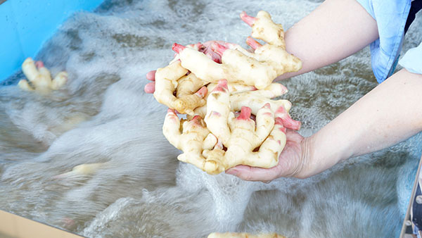 バブルウェーブが奥の汚れまで洗浄