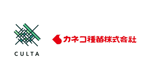 CULTAとカネコ種苗　サツマイモ育種に関する共同研究を開始.jpg