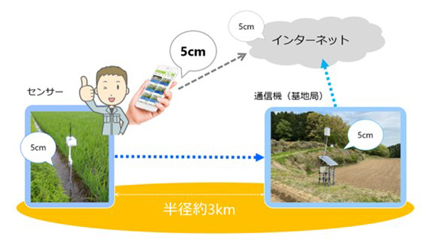 データが見られる仕組みについて