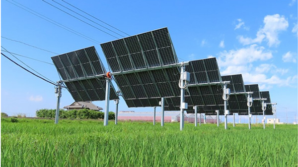 次世代営農型太陽光発電システム（イネが順調に生育する実証ほ場で）