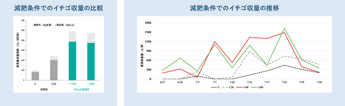 ［試験条件3］「杉山水」使用区は推奨施肥量を半減（10g/株）/対照区では同じく推奨施肥量半減のCのほか、慣行施肥（20g/株）のC20を設けて比較