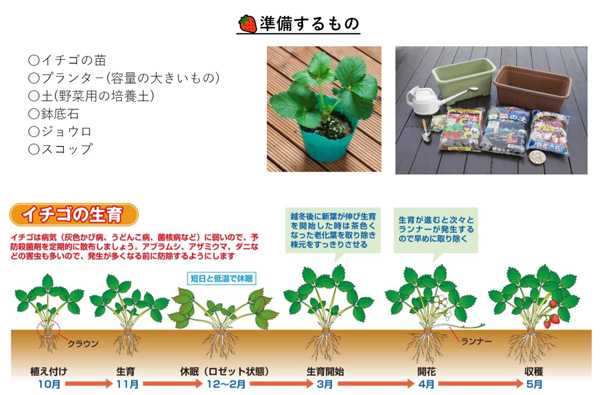準備するもの