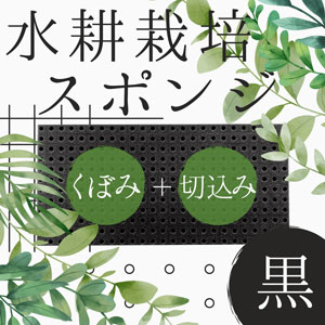新商品の水耕栽培スポンジ 黒