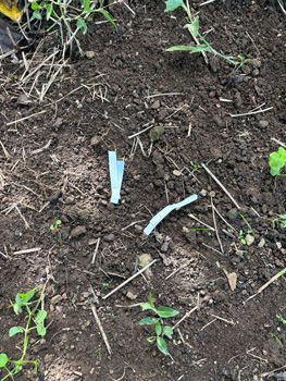 「TAPE-T32W」の回収