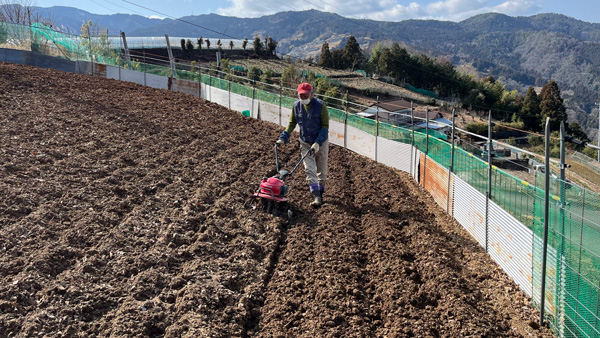 実証実験を行った田口農園