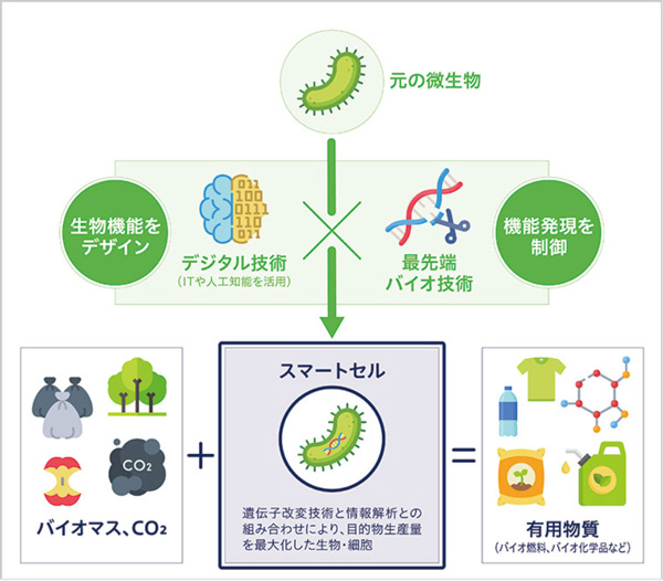 スマートセルを活用した有用物資の製造