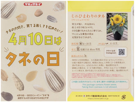 『タネの日』オリジナルパッケージのミニひまわりのタネ