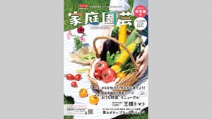 園芸愛好家向けカタログの決定版『家庭園芸』を発行　サカタのタネ_01s.jpg