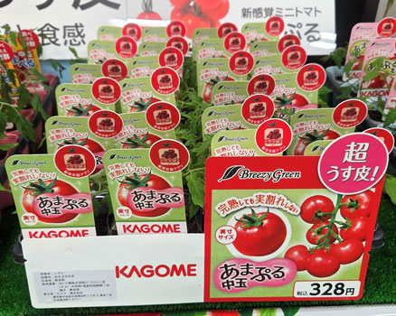 超うす皮トマトの「あまぷる 中玉」