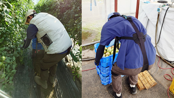 「マッスルスーツSoft-Power EASY-LIFTとCOOL VEST」を着用（左）と「マッスルスーツSoft-Power」を着用（右）