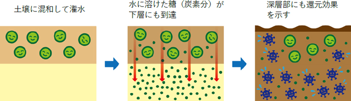 「かんげん丸」による土壌還元消毒