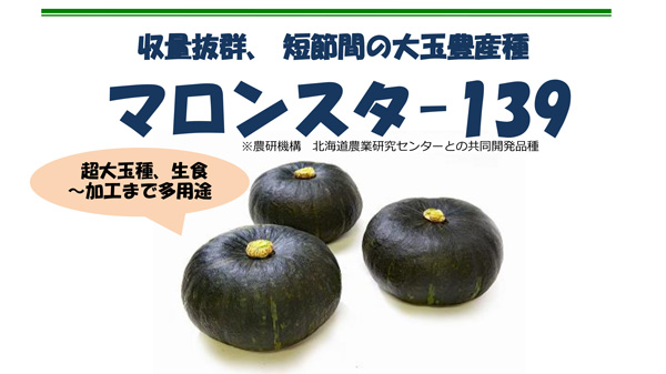 カボチャ試交No. 「AJ-139」を品種名「マロンスター139」として新発売　朝日アグリア