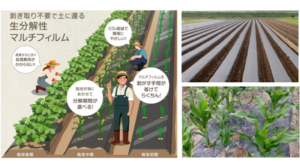 作物に合わせて選べる生分解性マルチフィルム「エコビオワン」シリーズ発売　渡辺パイプ