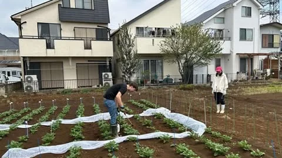 アクプランタが自社で運営する「鎌田圃場」