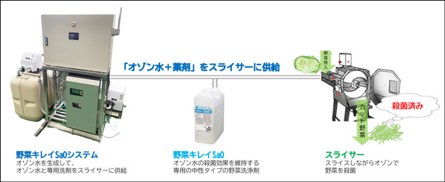 「野菜キレイSaOシステム」の全体像