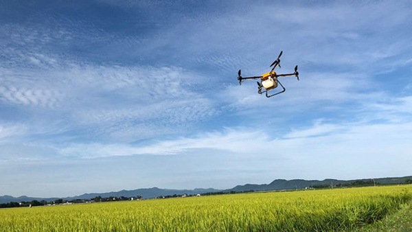 沖縄のサトウキビ畑にドローンで肥料散布　デモフライト開催　見学者募集　ドローンキング