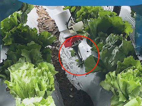 Aロボットアームが水抜き穴から生える草を除去