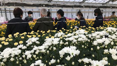 2021年秋の展示会の様子