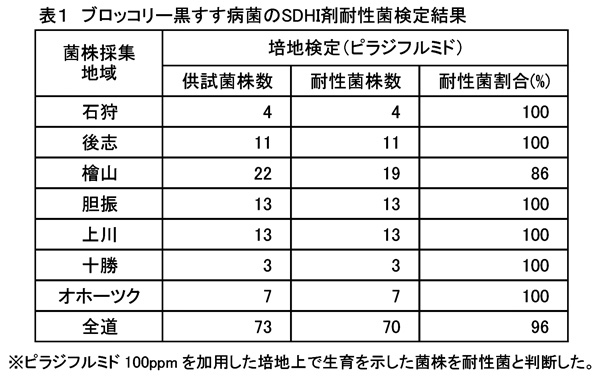 表1：ブロッコリー黒すす病菌のSDHI剤耐性菌検定結果