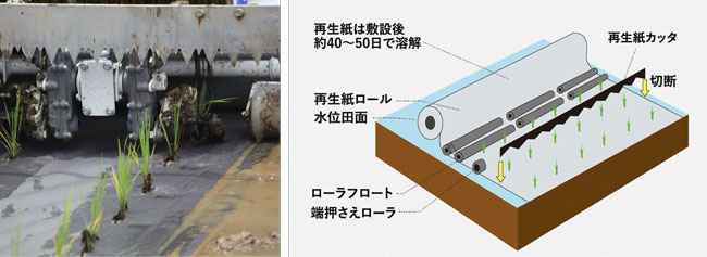 紙マルチ田植えの仕組み