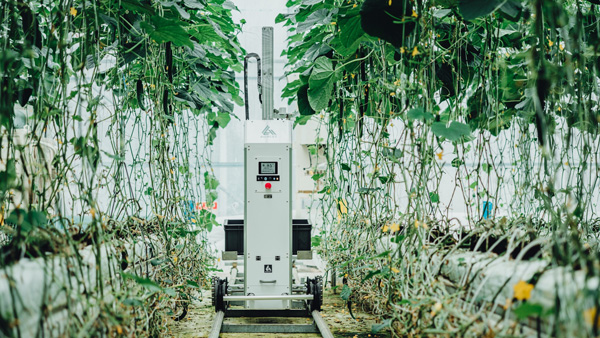 経産省「Japan-Innovation-Campus」に採択でシリコンバレー進出　AGRIST