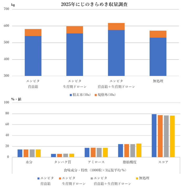 2025 にじのきらめき収量調査