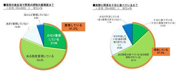 野菜の摂取について