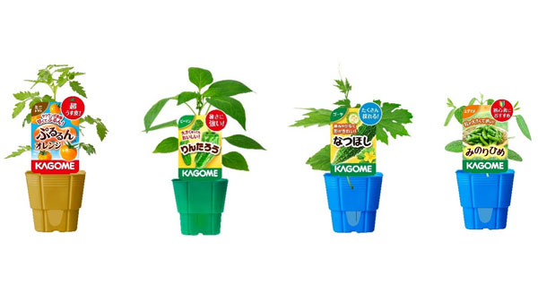 カゴメ「オリジナル品種家庭園芸用苗」2026年シーズン販売開始.jpg