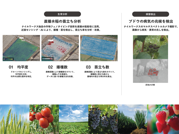 ナイルワークス「農と食の展示・商談会2024／埼玉県農商工連携フェア」に出展