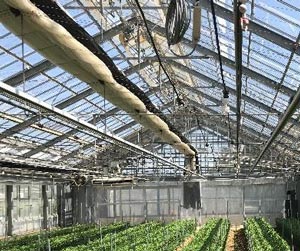 カーテン収納時は小さくまとまり、作物にかかる影は小さい