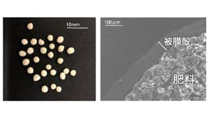 非食用米を用いた生分解性樹脂「ネオリザ」から肥料被覆材を開発　三洋化成工業s.jpg