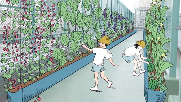新宿の柏木小屋上に「野菜の森」都市農業の持続化モデルを模索　ニチリウ永瀬