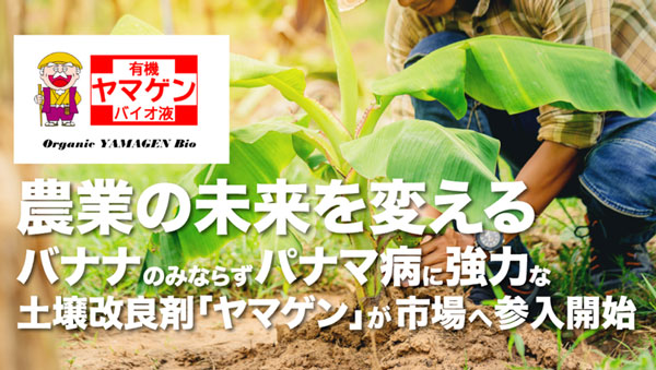パナマ病に強力な土壌改良剤「ヤマゲン」市場参入を予定　創建エース