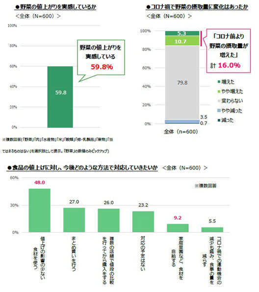 約6割が野菜の値上がりを実感