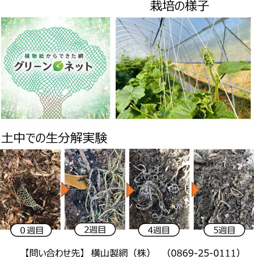 グリーンネットでの栽培の様子と土中での生分解実験