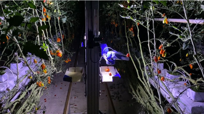 inahoの自動野菜収穫ロボット