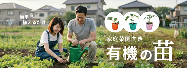 2026年シーズン 有機のタネと苗を販売開始 自然農法センター