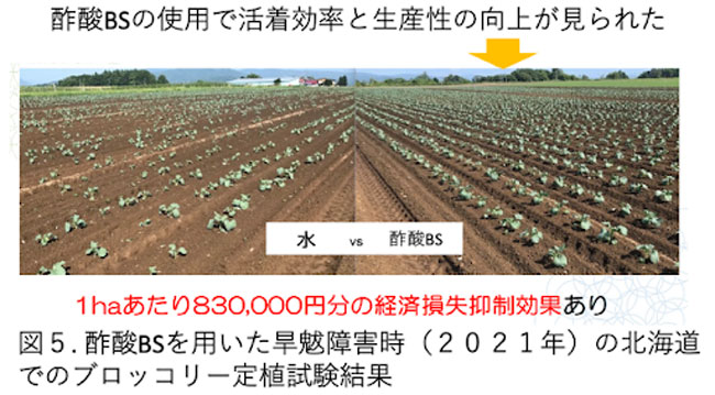 「スキーポン」を用いた国内外の実証実験では収量や生存率などの向上を確認