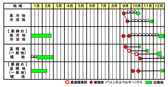 ホウレンソウ「寒締め吾郎丸」の作型図