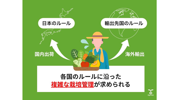 海外出荷イメージ