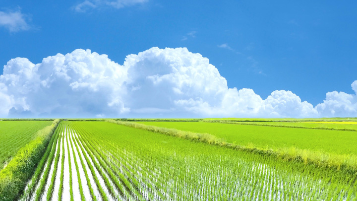 史上最高値の肥料原料の安定確保へ　国内資源の利活用促進を　ＪＡ全農