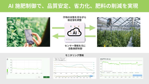 AI潅水施肥システム「ゼロアグリ」土耕栽培初の