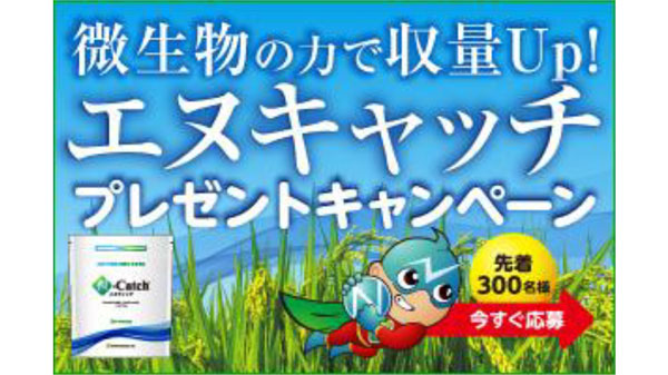 バイオスティミュラント「エヌキャッチ」発売1周年記念キャンペーン実施　ファイトクローム