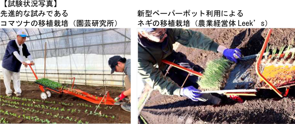 世界初スイッコマツナの移植栽培（茨城県農業総合センター園芸研究所）、新型ペーパーポット利用によるネギの移植栽培（農業経営体Leek's）