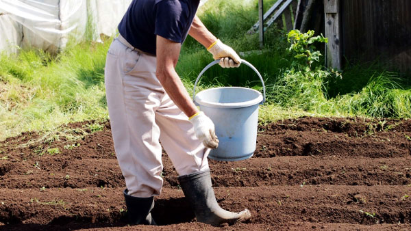 肥料価格高騰分の半額程度など補助へ　福井県が農家の緊急支援へ約9億円予算化