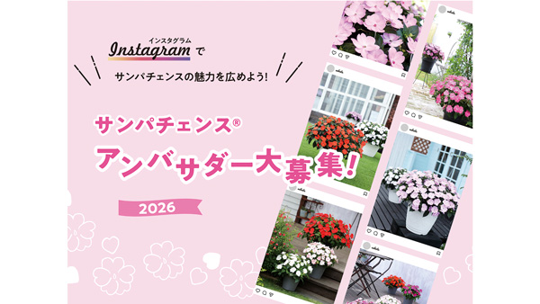 草坊主100 刈り幅100cm